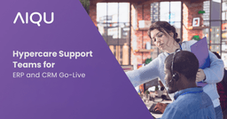 Hypercare Support Teams for ERP and CRM Go-Live